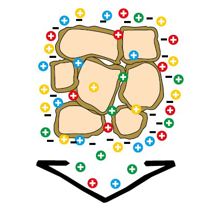 kationcserélő hatása
