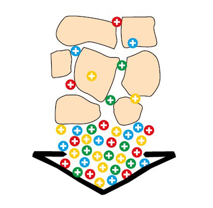 tápanyagraktározás