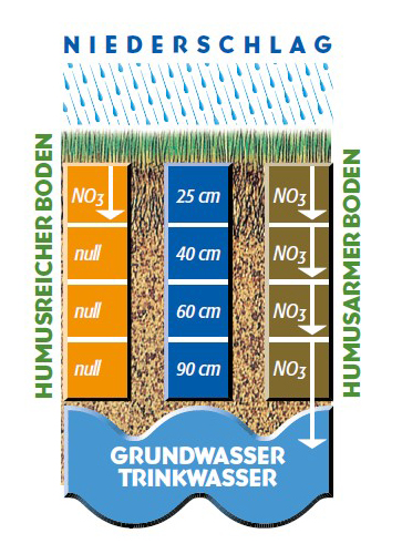 huminsavak pozitív hatásai