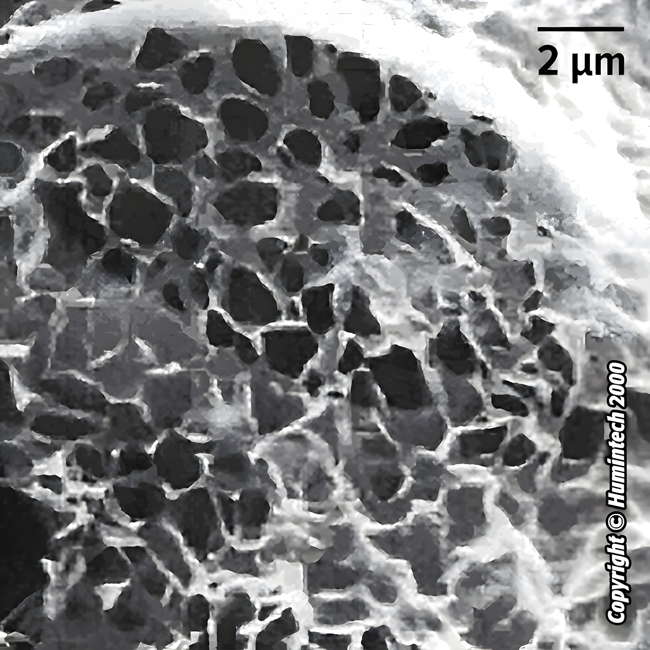 huminsav és fulvosav