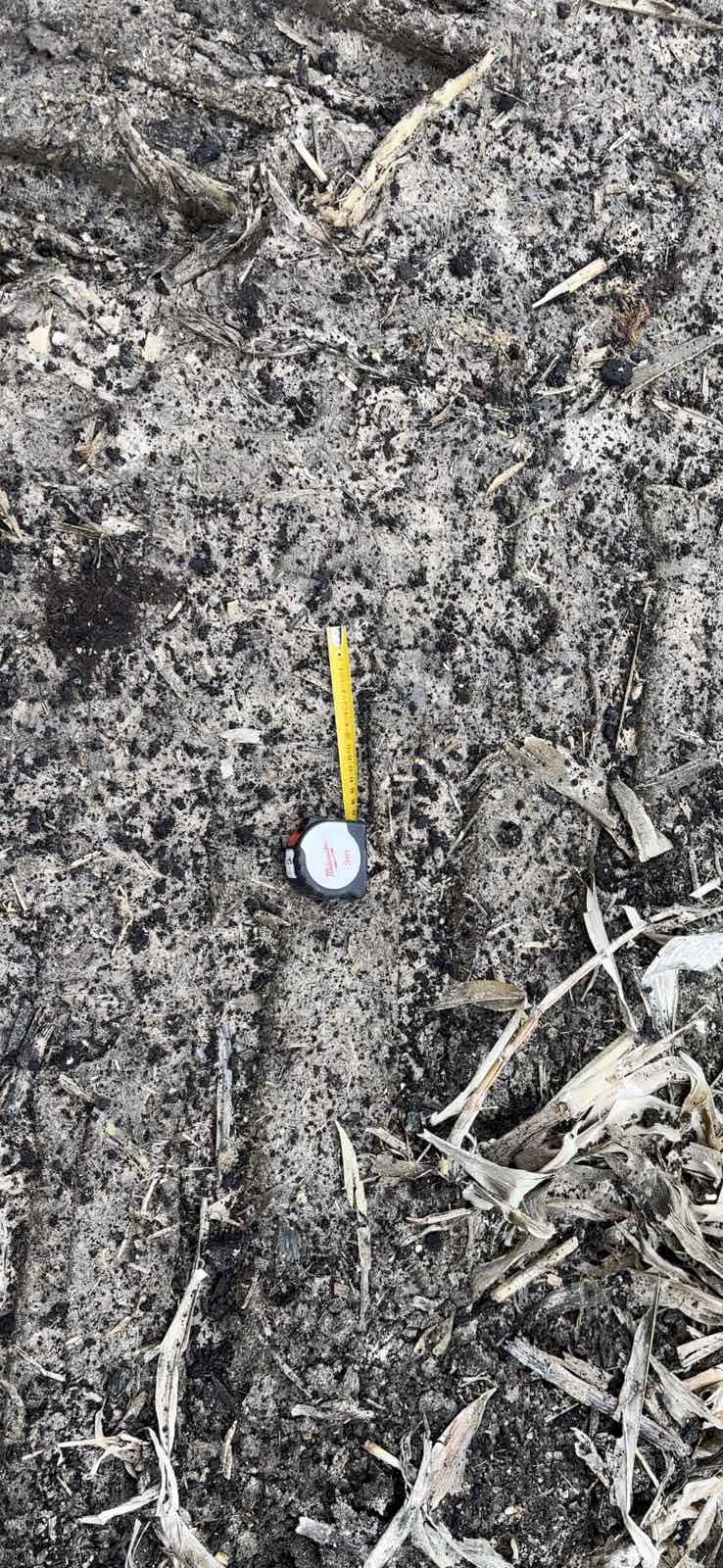 Muliter gazdaság - Kép 2